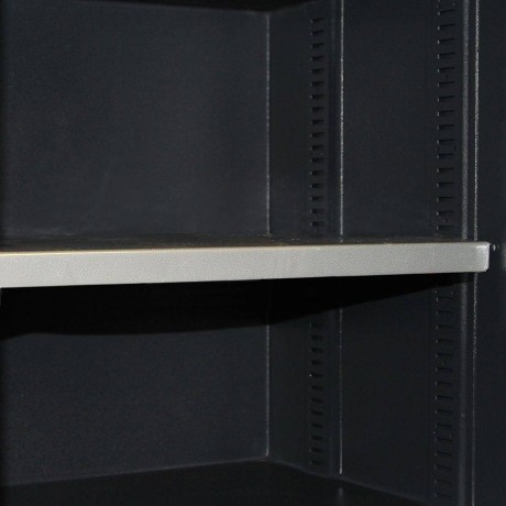 Сейф Fichet–Bauche Hestia I+S60P/200/E