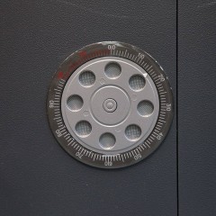 seyf-vstraivaemyy-juwel-4885