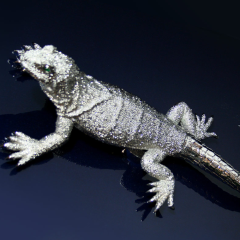 seyf-stockinger-sirius-reptile