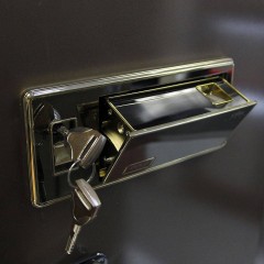seyf-aipu-gold-shark-fdg-a1-d-55jz